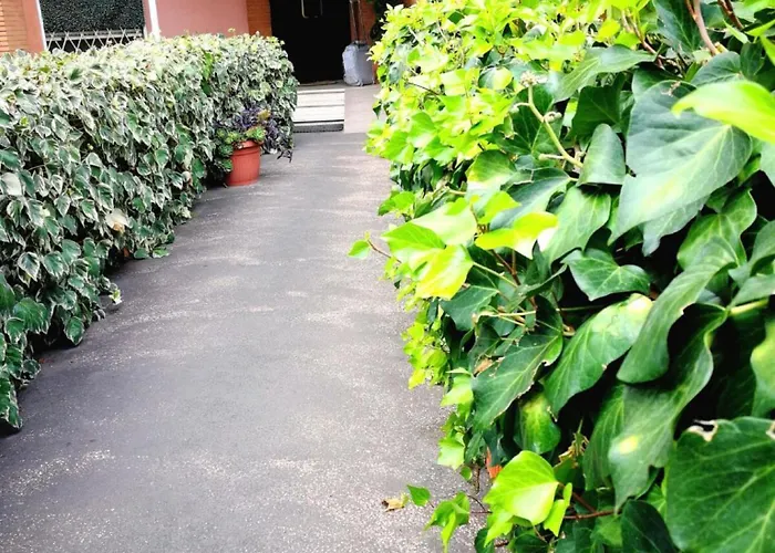 Jonio Bed & Breakfast Rome